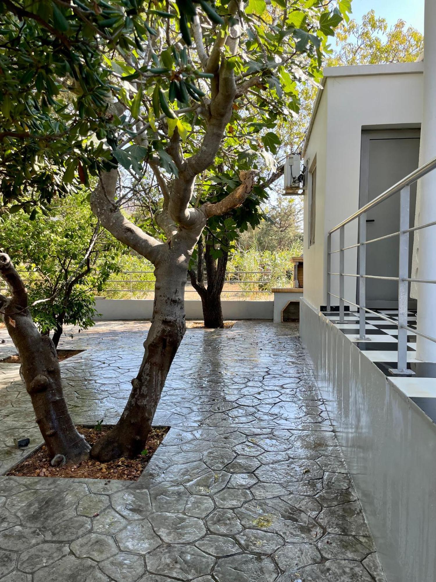 Architect'S Summer House By The Beach Pórto Ráfti Exteriör bild